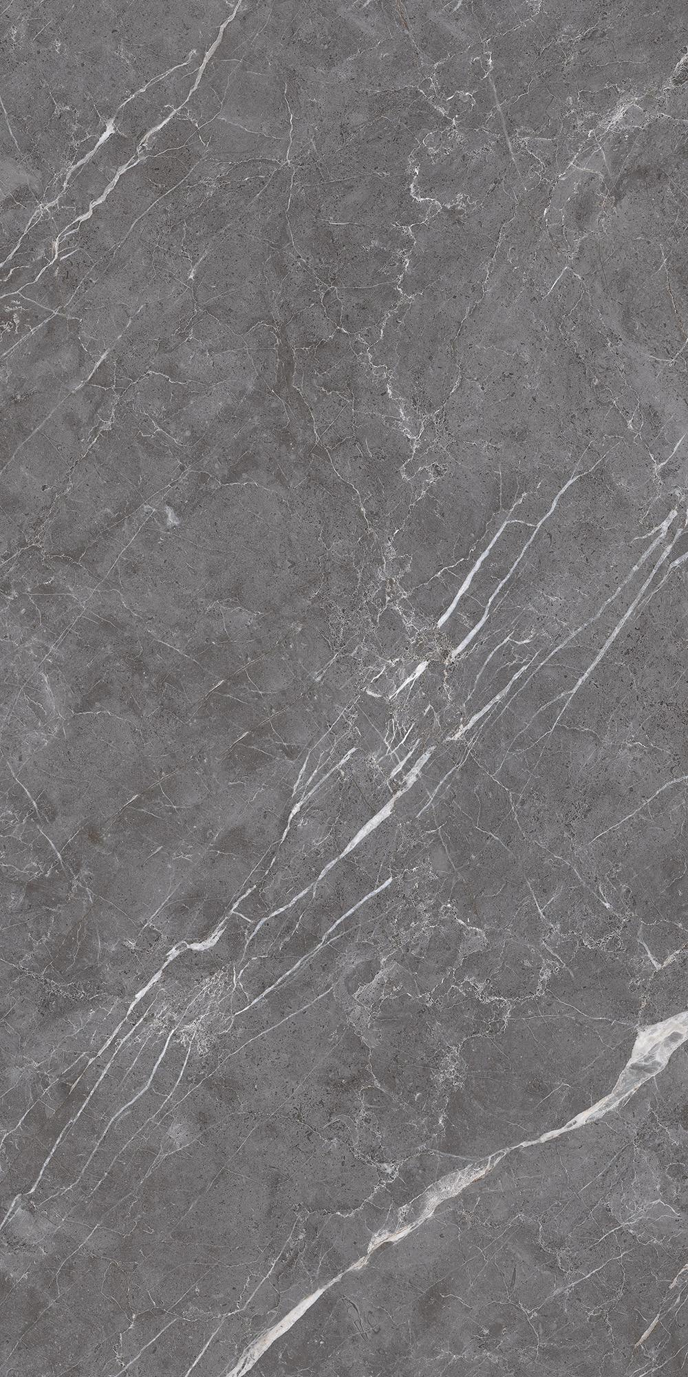 ESPERIA GRIGIO LAPPATO ARCADIA CERAMICA CL4003-A - Вид №5