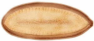 Vista Alegre Сервировочное блюдо из терракоты Amazónia 65026303