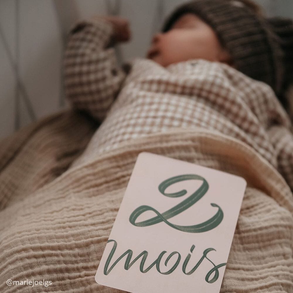 Набор из 24 карт Charlie Crane MY FIRST YEAR MILESTONE ARCH-00125799 - Вид №6