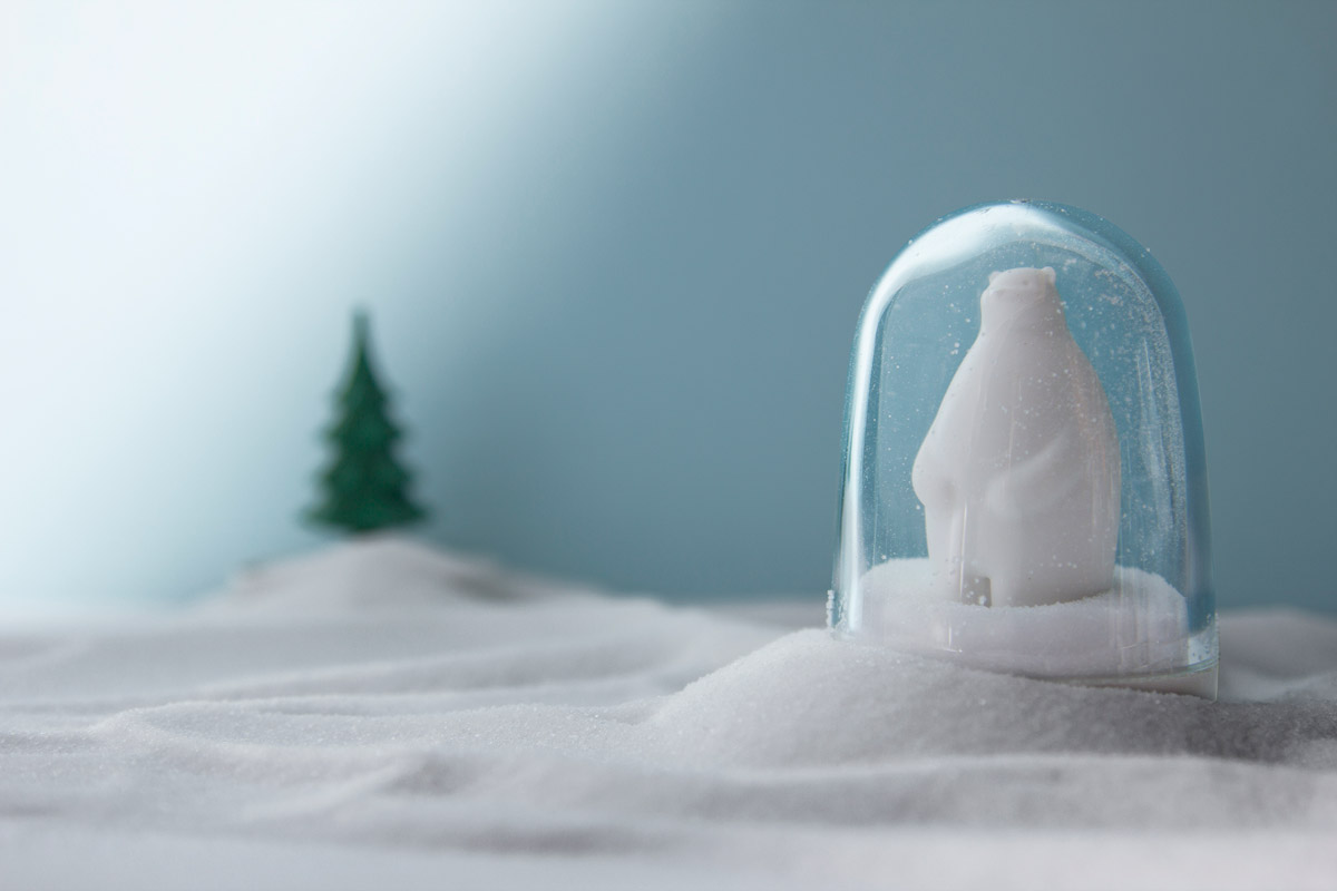 Ёмкости для специй в наборе Animal Parade Qualy QL10125WH - Вид №2