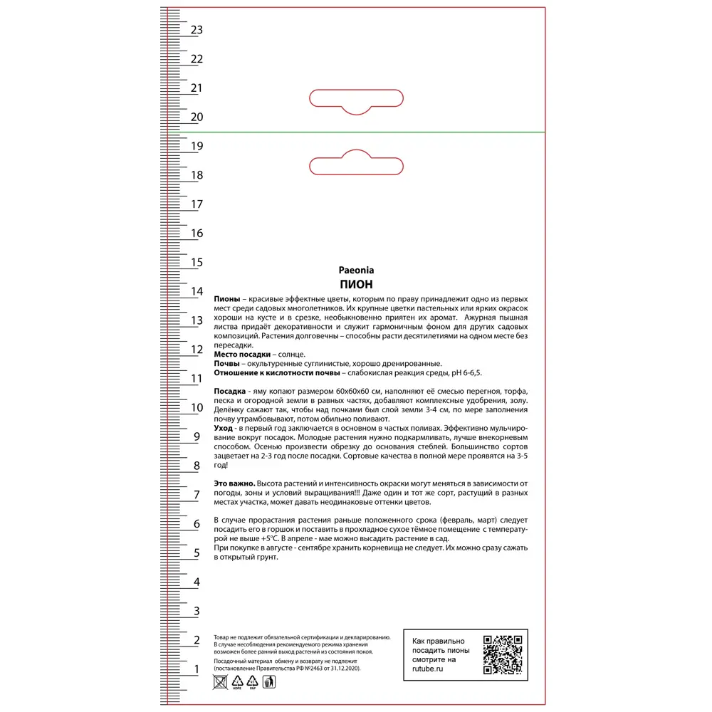 Пион молочноцветковый травянистый Диннер Плейт ПОИСК STLM-2098605 - Вид №1