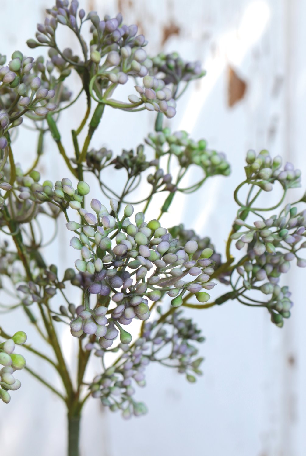 1924 802 a3 Стебель калины искусственный, 37 см, зелено-фиолетовый H-andreas  - Вид №2