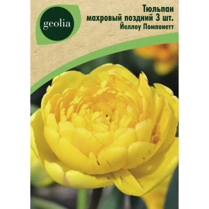 Тюльпан махровый Йеллоу Помпонетт 3 шт.