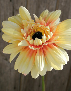 9820 306 a2 Пластиковая гербера с флокированным стеблем, 55 см, желто-оранжевая H-andreas