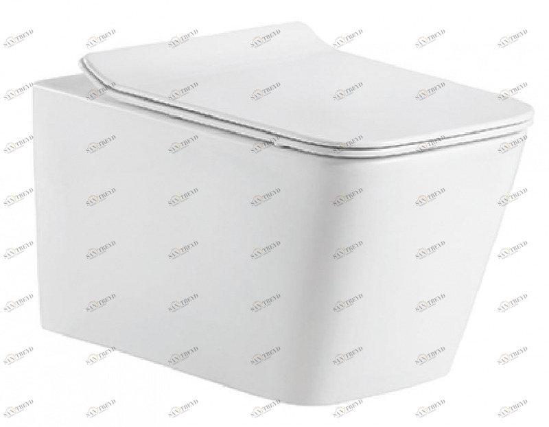 C21201UW-RUS Подвесной унитаз настенный Белый Bravat  Китай 