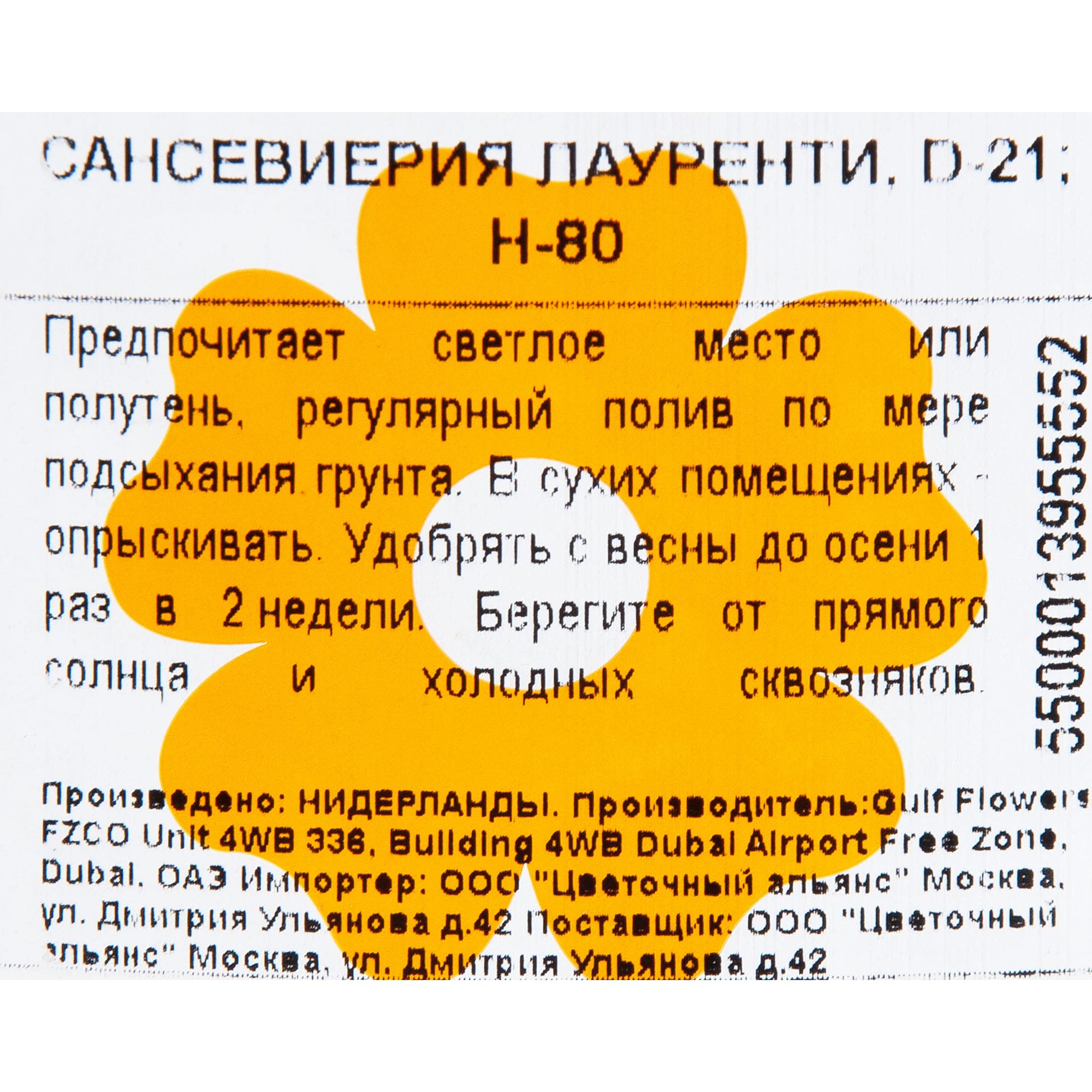 82850386 Сансевиерия "Лауренти" 21х80 см Santreyd  - Вид №2