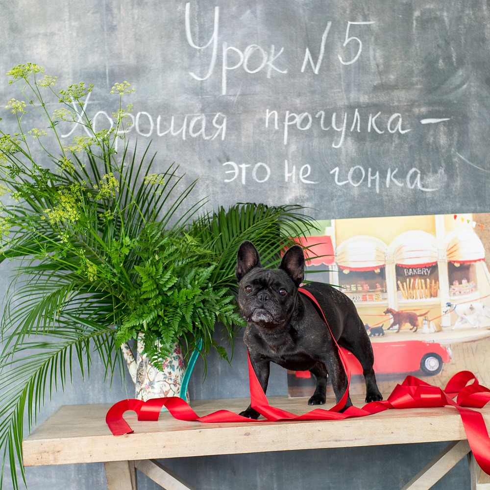 828199908_1818 Арт-постер "Хорошая прогулка" Object Desire  - Вид №1