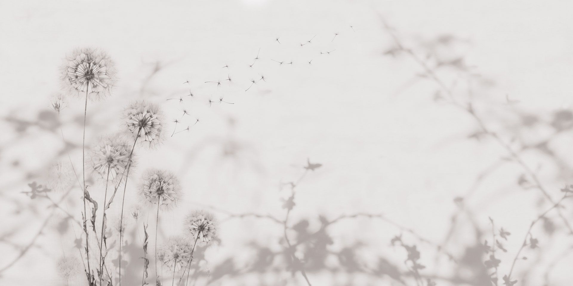 Обои с цветочным узором Rimura 2024 ARCH-00127163 - Вид №3