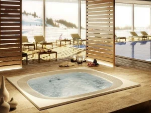 Jacuzzi® Пейзажный бассейн с 6-местной гидромассажной ванной Professional