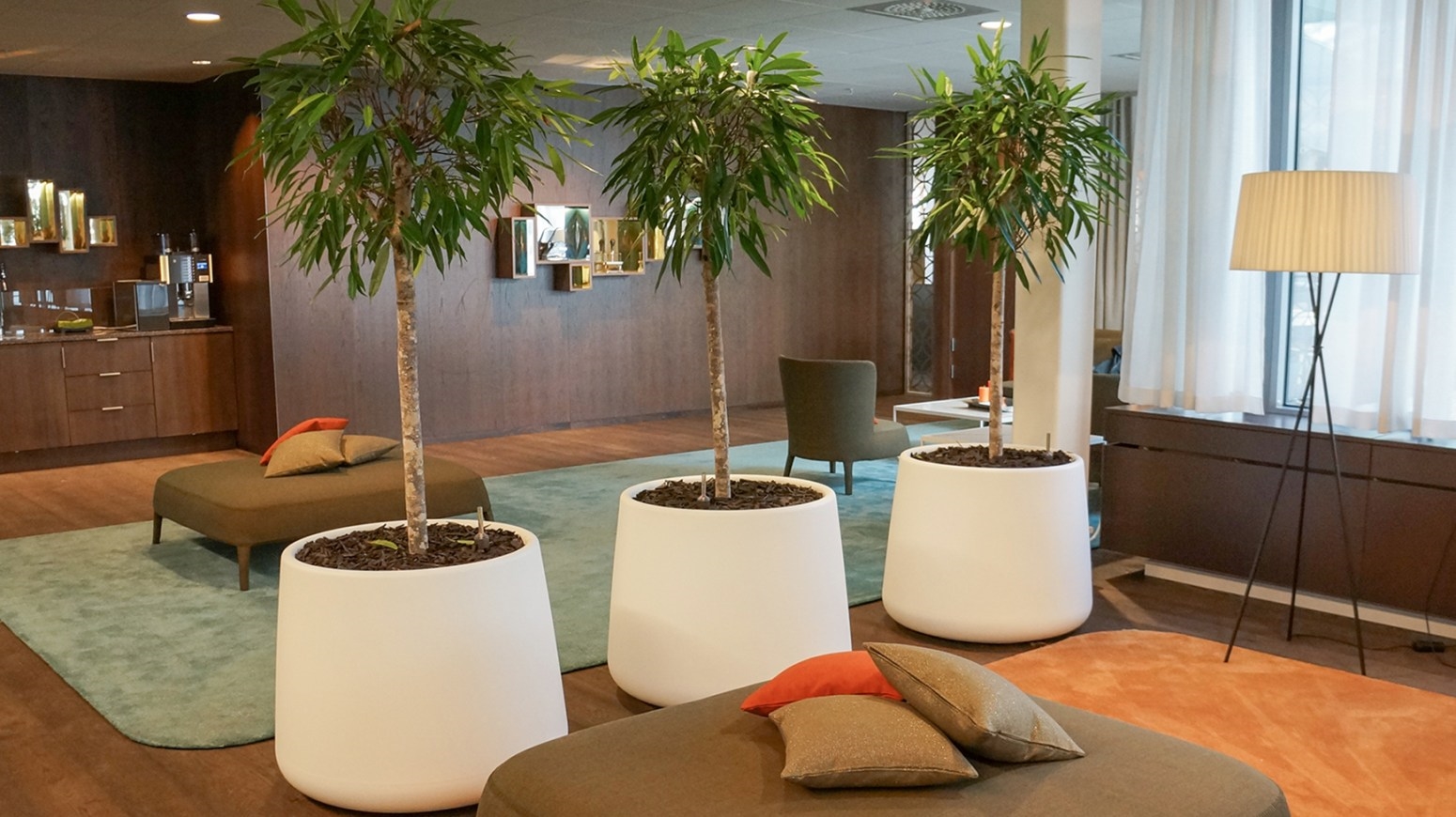 Табби Magis sun-id-1328963 - Вид №6