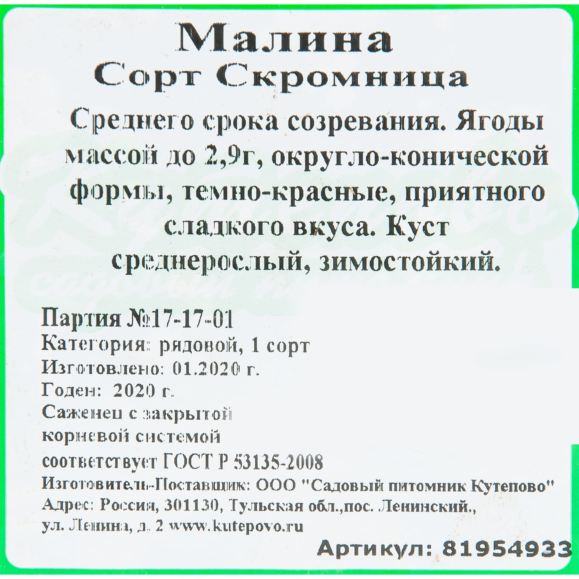 81954933 Малина С2 «Скромница» h40 Santreyd  - Вид №1