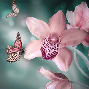 A1-046 Фотообои DIVINO Collection A 2.38х3 м