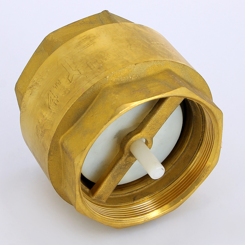 Клапан обратный пружинный EURA EXPORT с пластиковым затвором F.I.V. 4" FIV 08030400 - Вид №1