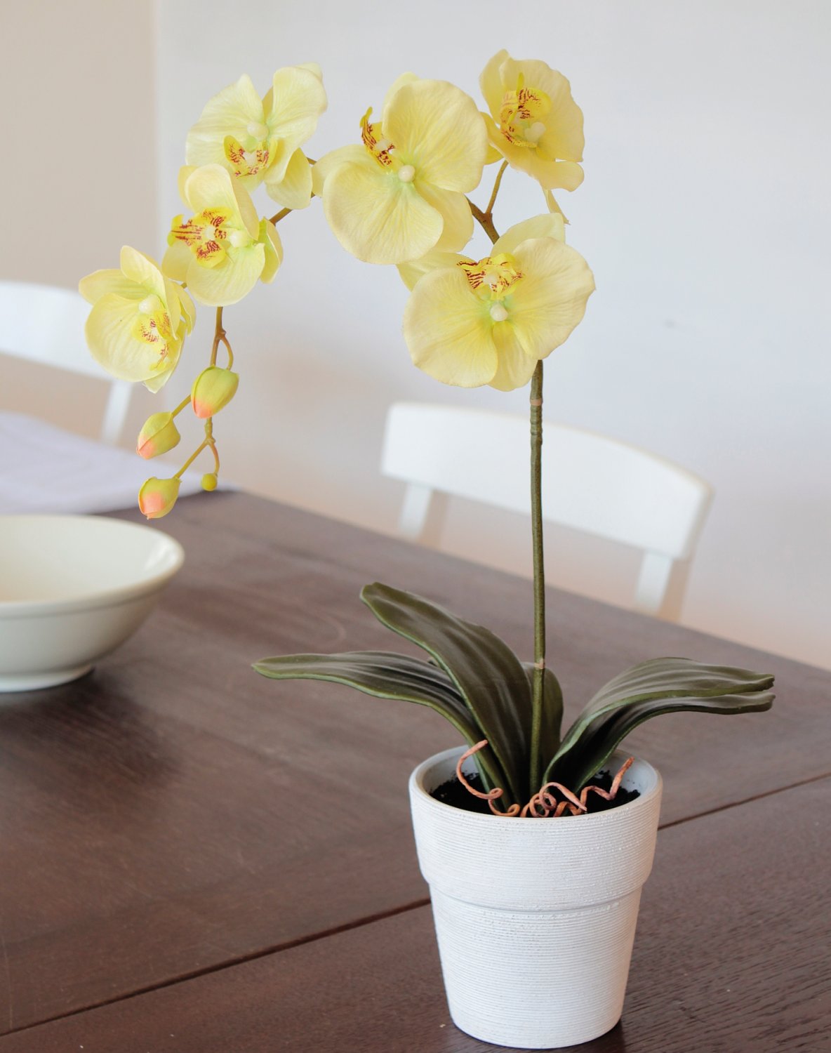 9805 788 a3 Орхидея Phalaenopsis, шелк, 60см, в горшке, кремово-зеленая H-andreas 