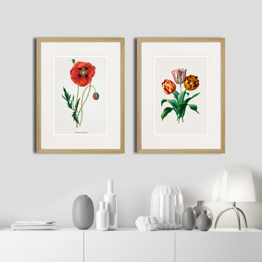 Литография на тонированной бумаге 42х32 см Botany illustration №15, 1836г. КАРТИНЫ В КВАРТИРУ  264495 Белый;коричневый;разноцветный  - Вид №2