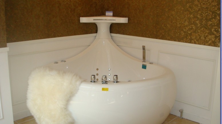 Whale Ванна гидромассажная SSWW  - Вид №6