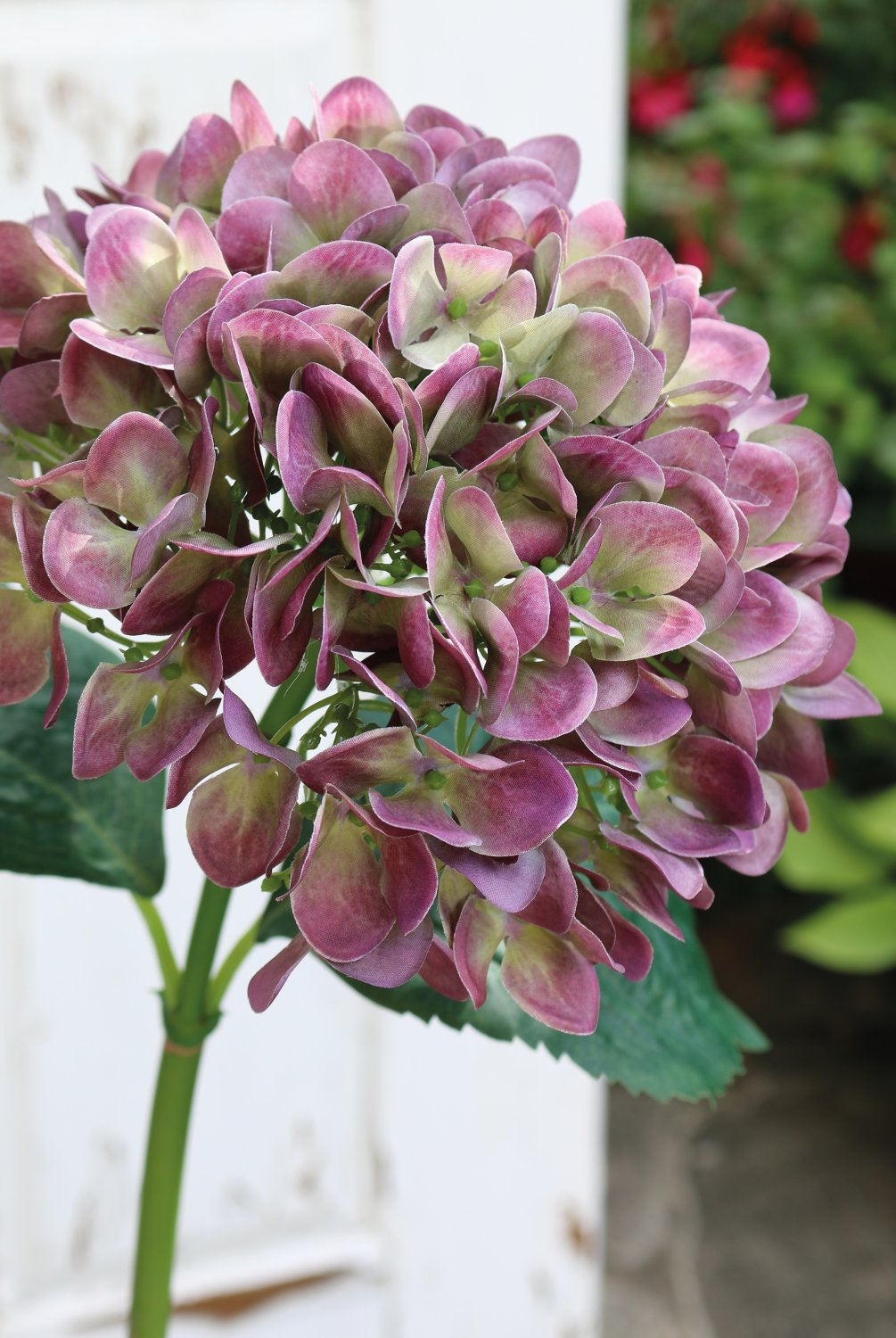 2270 208 a3 Гортензия пластиковая, 65 см, фиолетово-зеленая H-andreas  - Вид №1