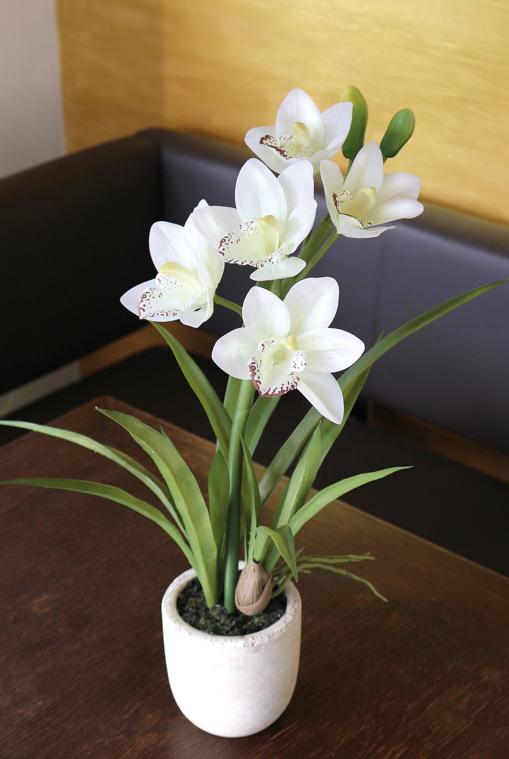 2530 778 a3 Пластиковая орхидея цимбидиум, горшечная, 51 см, real touch soft, бежево-белая H-andreas  - Вид №2