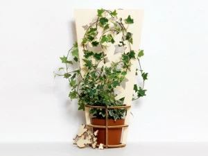 Moustache Горшок в березе