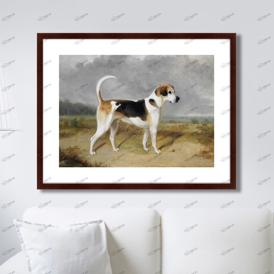 Картина: Portrait of a Foxhound, 1780г. КАРТИНЫ В КВАРТИРУ  264192 Разноцветный 