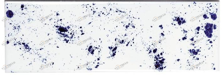 Danilo Ramazzotti Внутренняя облицовка майоликой Inchiostro simpatico Is4d