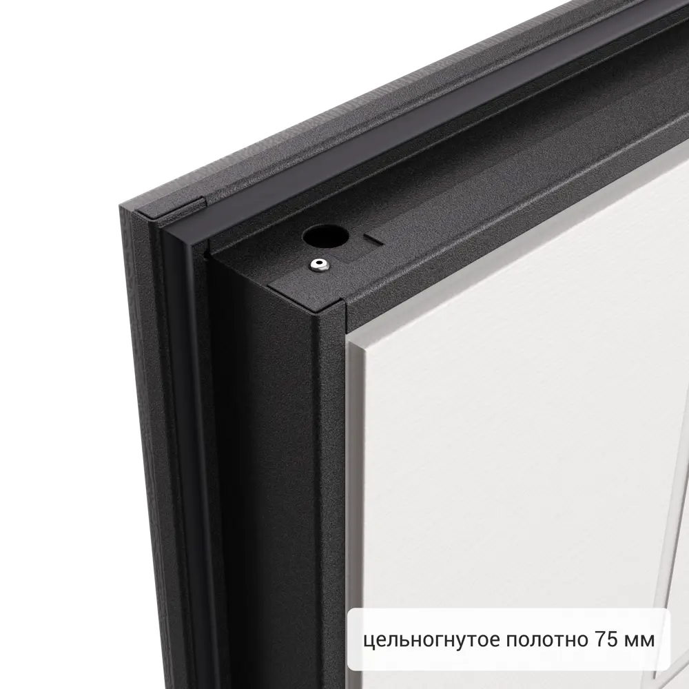 Дверь входная металлическая Хьюго 01 880 мм правая 82858733 STLM-2080315 TOREX  - Вид №9