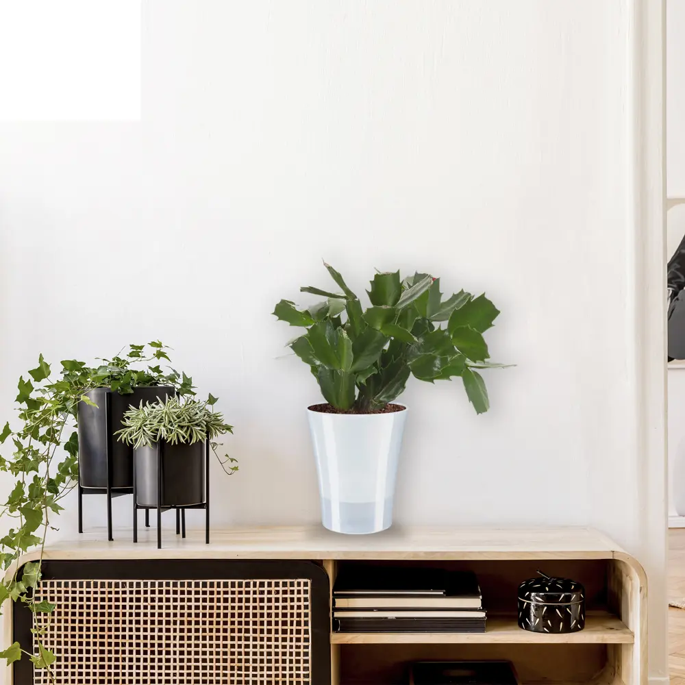 Santreyd Деко Твин — горшок для цветов дымчатый с блюдцем 83406607 Арте-дея STLM-0041028 - Вид №2