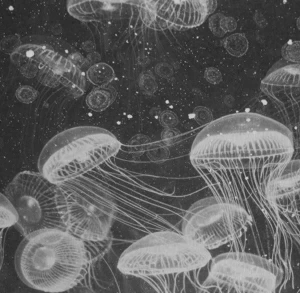 Декоративная панель Underwater Gray Poison