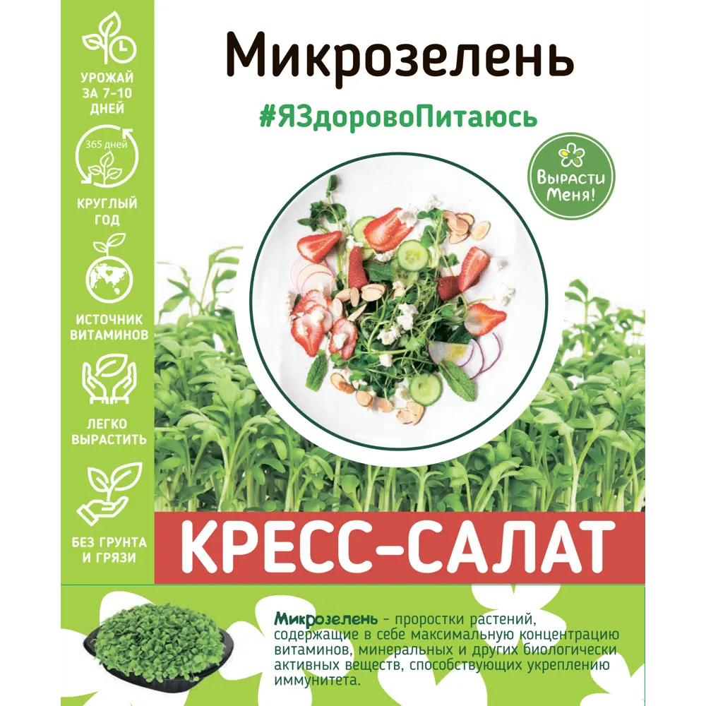 AGRONI Набор для выращивания микрозелени кресс-салата 83562753 STLM-0956630