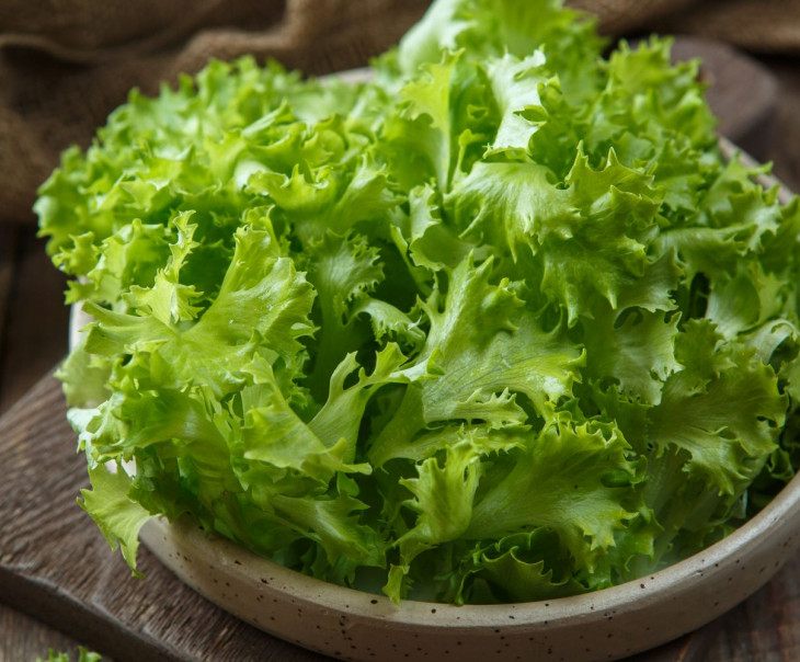 3825 Салат "Фриссе" Выращено Рядом (iFarm) Вкусляндия  - Вид №1