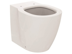 Туалет без бриды на полу