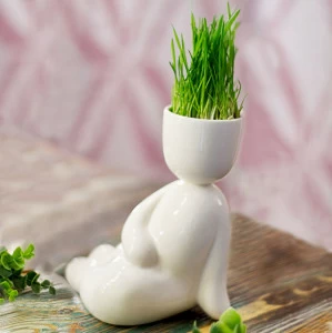 Набор для выращивания eco Русалка ЭКОЧЕЛОВЕКИ  254582 Белый