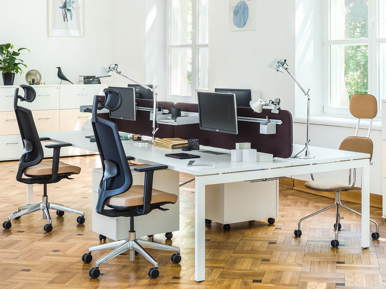 Несколько столов со звукопоглощающими перегородками MDD Ogi ARCH-00013000