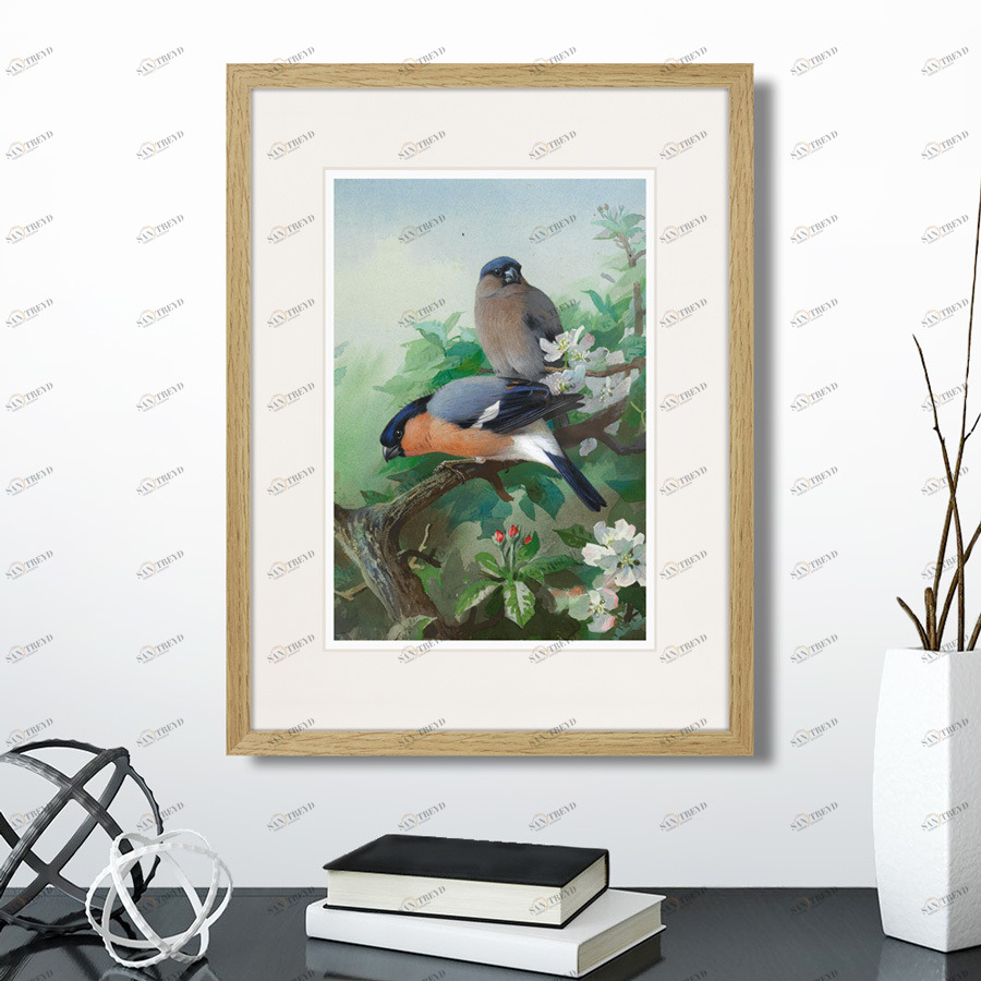 Литография на тонированной бумаге 42х32 см Bullfinches, 1915г. КАРТИНЫ В КВАРТИРУ  264327 Белый;коричневый;разноцветный 