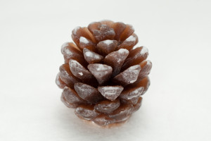 2226 Форма "Шишка 3D маленькая S" силикон HobbyPage