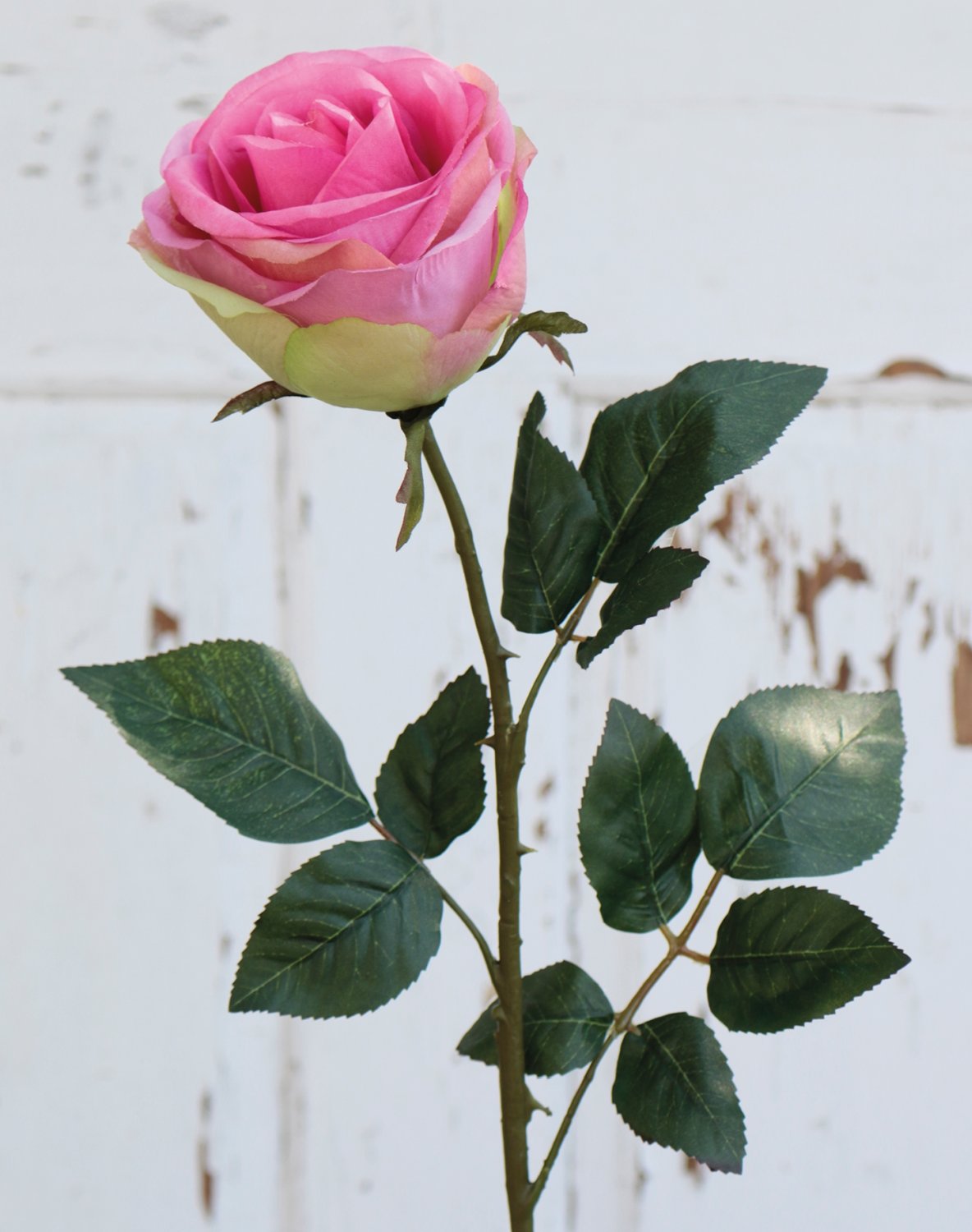 9816 508 a3 Искусственная роза, 90 см, розово-зеленая H-andreas 