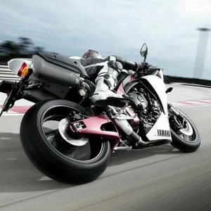 A1-063 Фотообои DIVINO Collection A 1.47х2 м