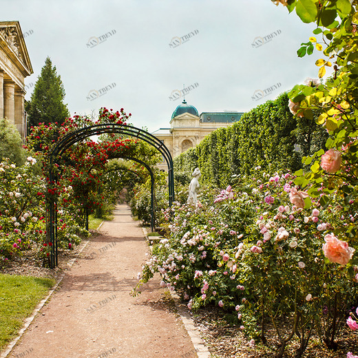 B1-010 Фотообои DIVINO Collection B 2.7х3 м B1010