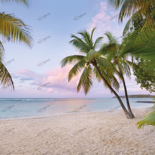 XXL4-528-Paradise-Morning Фотообои Komar Into Illusions Edition 2 2.48х3.68 м XXL4528PARADISEMORNING