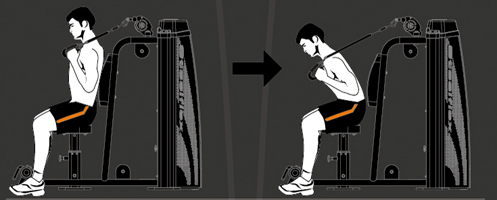 HAM900 Steel flex hope ham900 пресс машина Steel Flex Hope - Вид №1