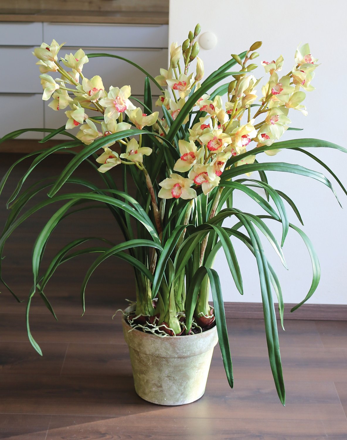 2813 805 a3 Пластиковая орхидея цимбидиум, горшок, 130 см, real touch, зелено-розовый H-andreas 