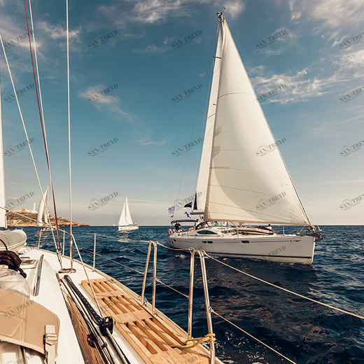 C1-375 Фотообои DIVINO Collection C 2.38х3 м C1375