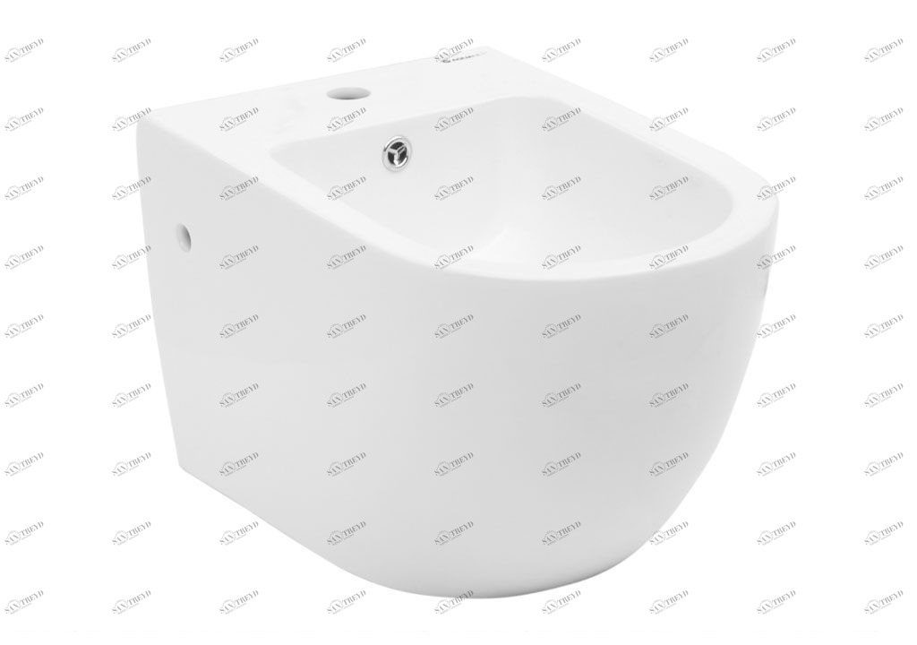 BL102WHB Биде подвесное CETUS Aquanet