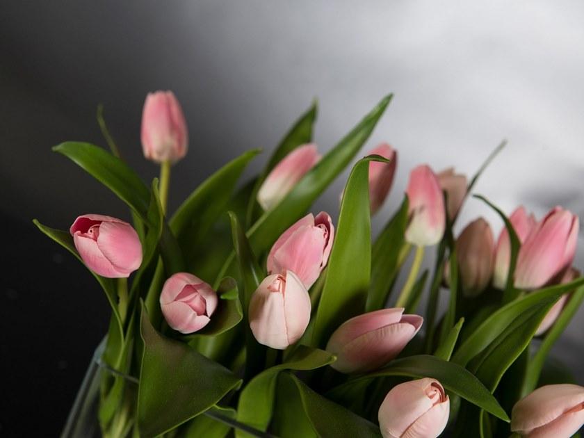 VGnewtrend Искусственное растение  1142275.33/.10  - Вид №1