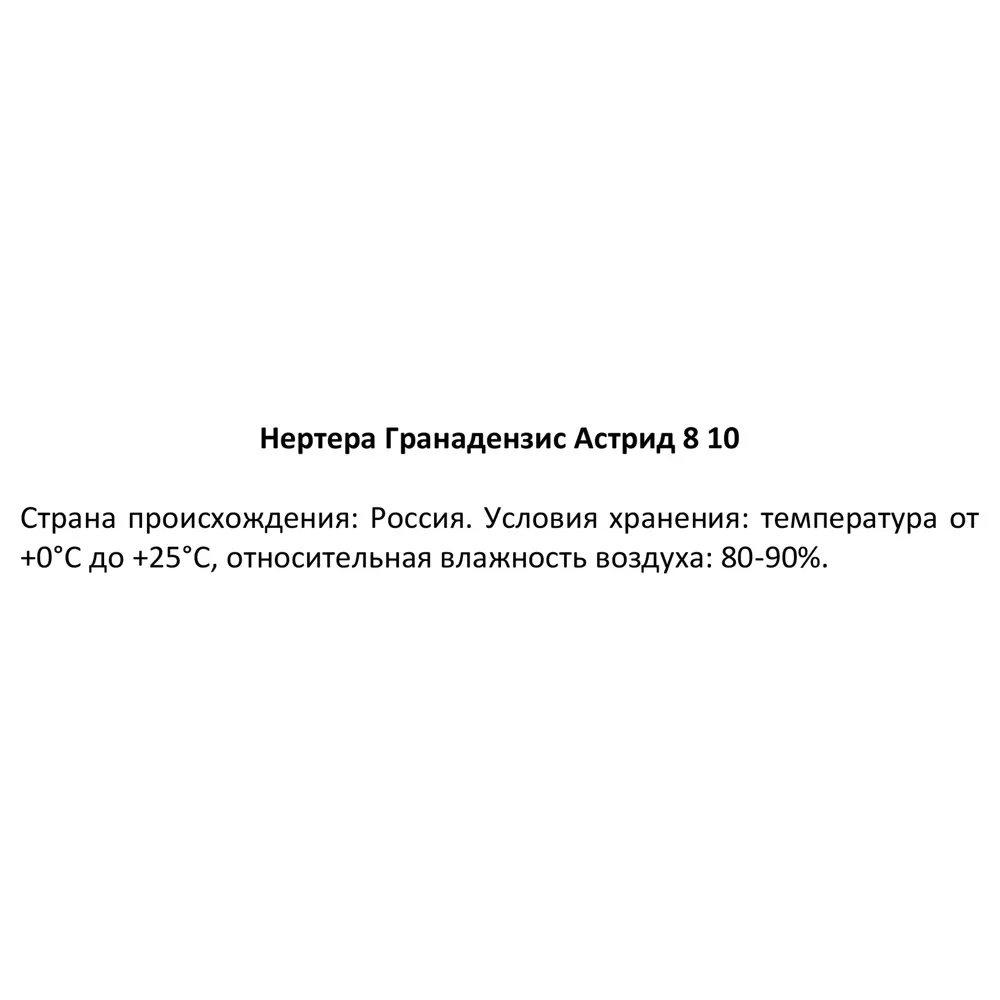 Santreyd Нертера Гранадензис Астрид - живой ковер с алыми ягодами 87819689 STLM-0075887 - Вид №3