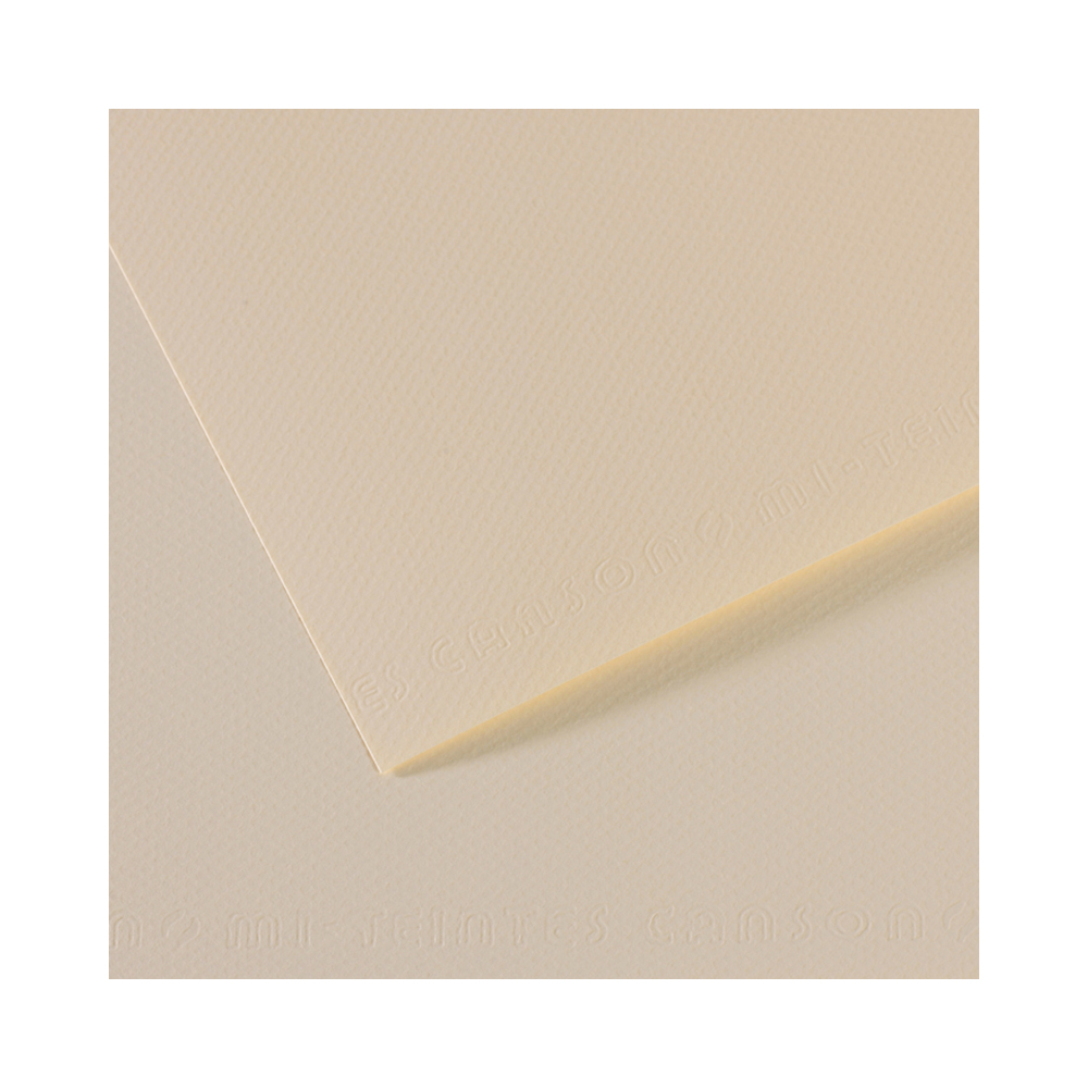 200321327 Бумага для пастели Mi-Teintes 160 г/м2 75 х 110 см лист №110 лилия Canson 