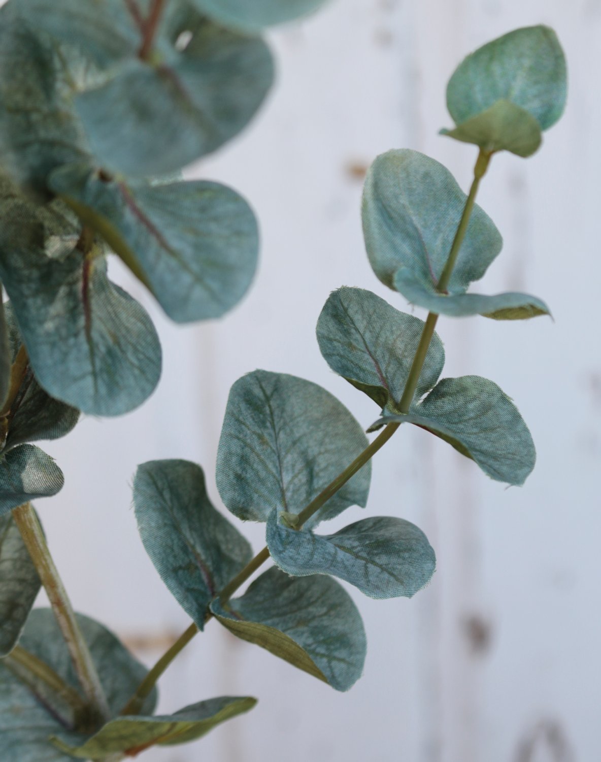 5561 883 a3 Искусственный эвкалиптовый спрей, 74 см, зеленый H-andreas  - Вид №2