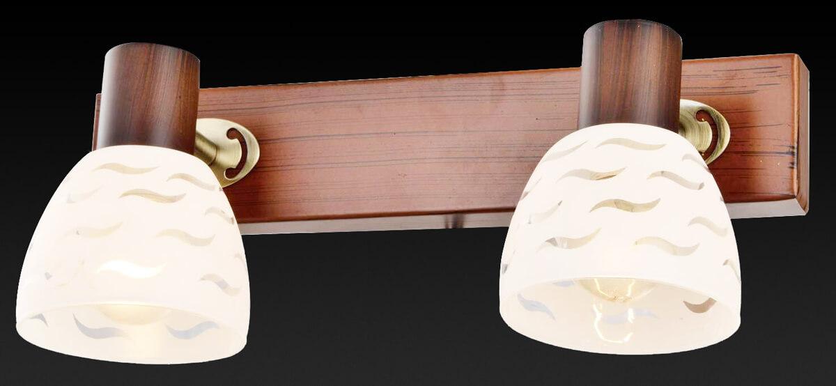 Спот настенный на 2 лампы белый Shayla TL3730Y-02BB TOPLIGHT SHAYLA 00-3926404 Белый  - Вид №1