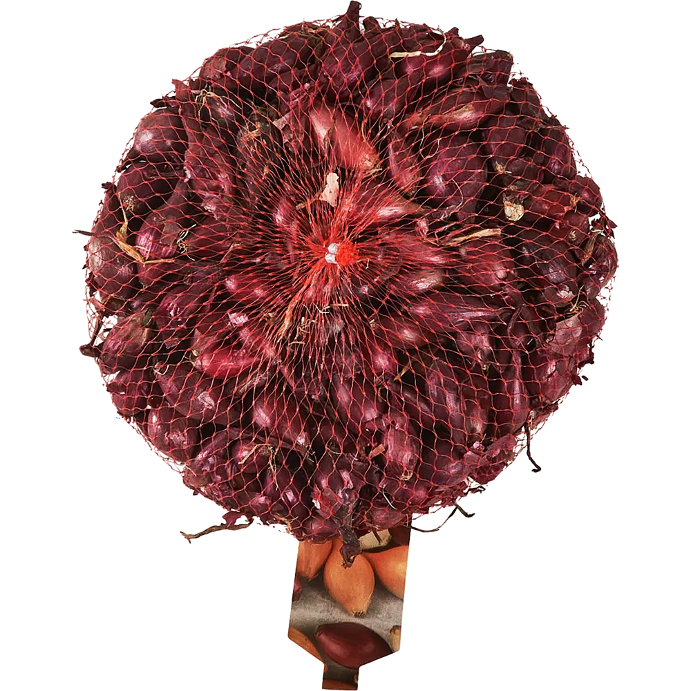 Лук- севок Ред Барон GEOLIA STLM-2010968 - Вид №1