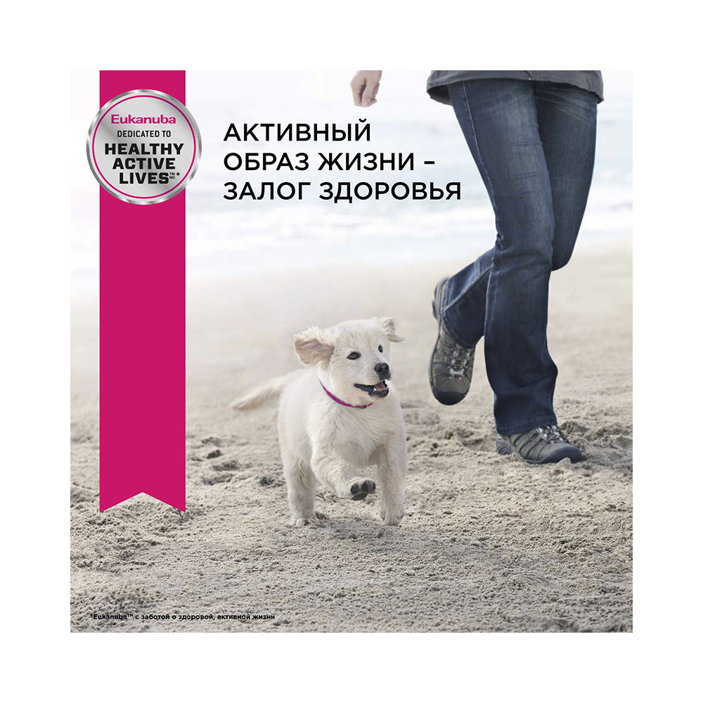 ПР0033544 Корм для щенков для миниатюрных пород сух. 500г Eukanuba  - Вид №2